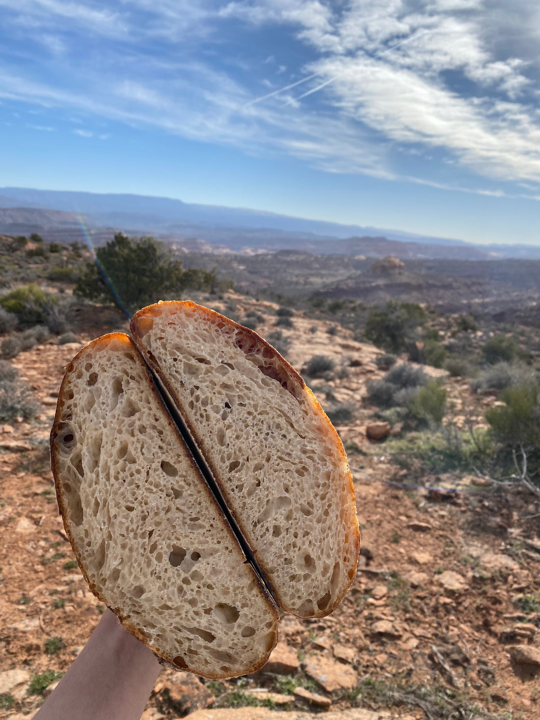 Tiny Oak Sourdough Guide